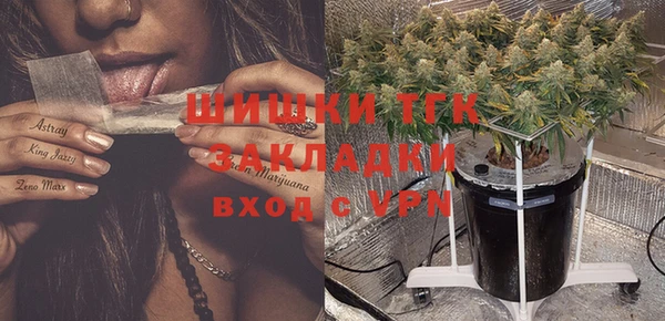 гашик Белокуриха